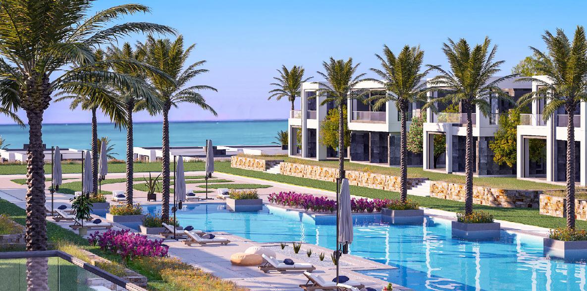 لافيستا راس الحكمة