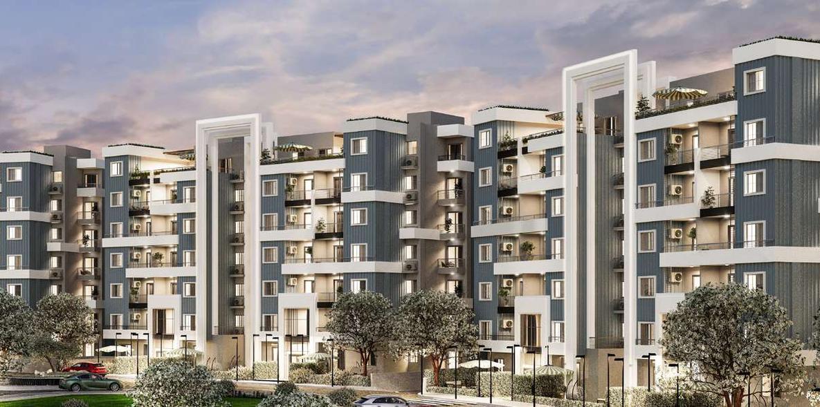 مشروع روك وايت من البطل جروب |RED