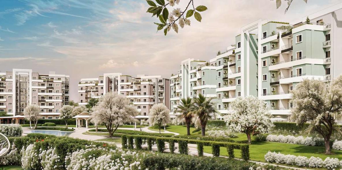 مشروع روك وايت من البطل جروب |RED